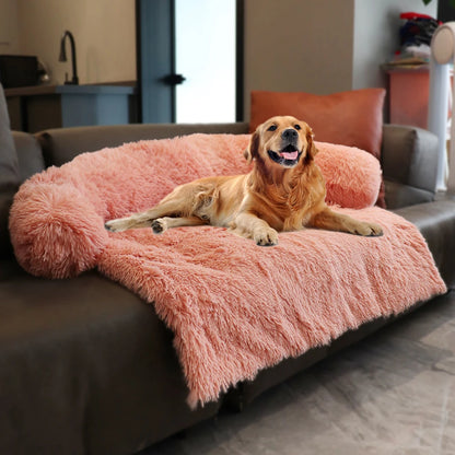 DREAM-DOGGY