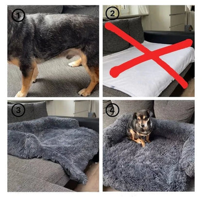 DREAM-DOGGY