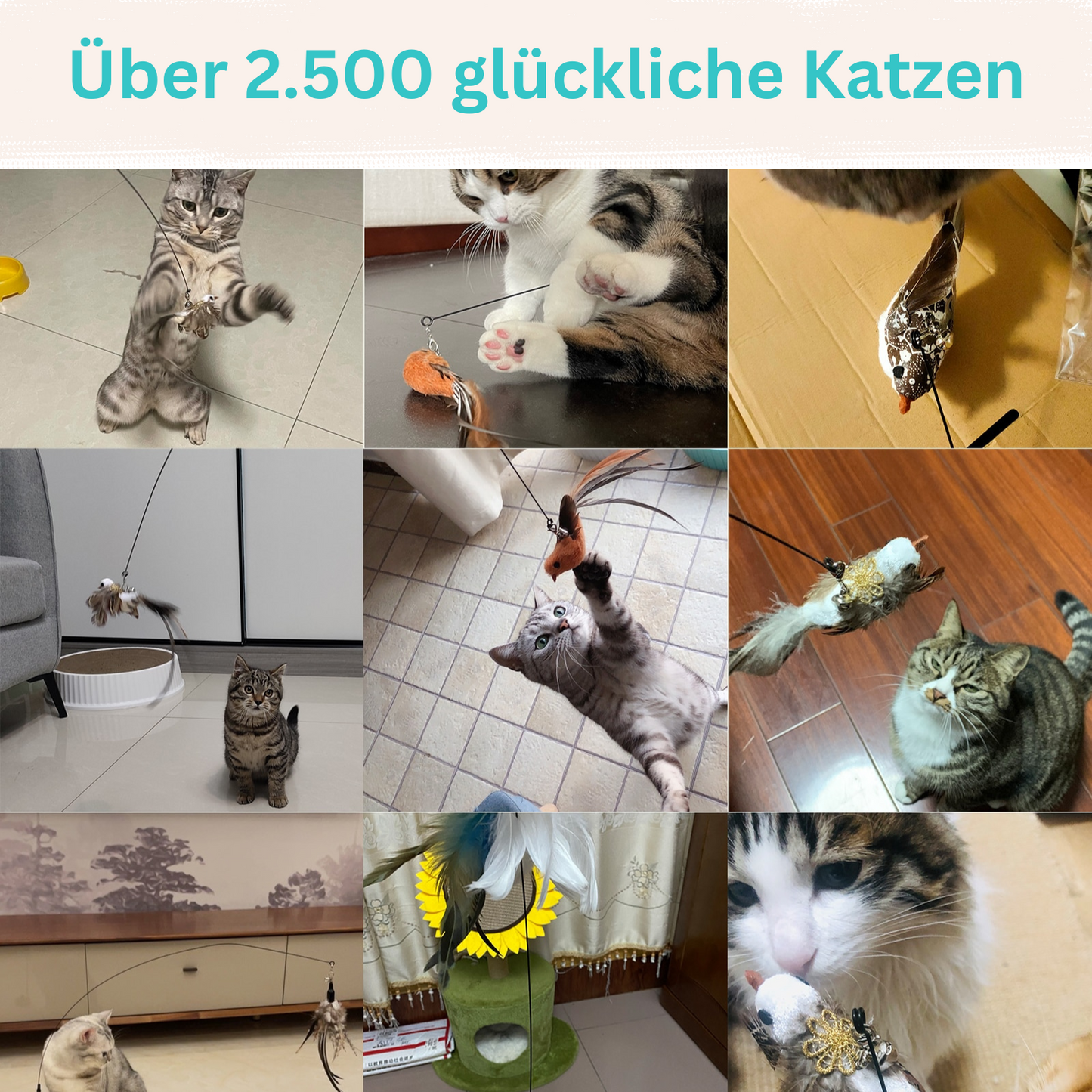 Vogelspiel™️ - Interaktives Katzenspielzeug