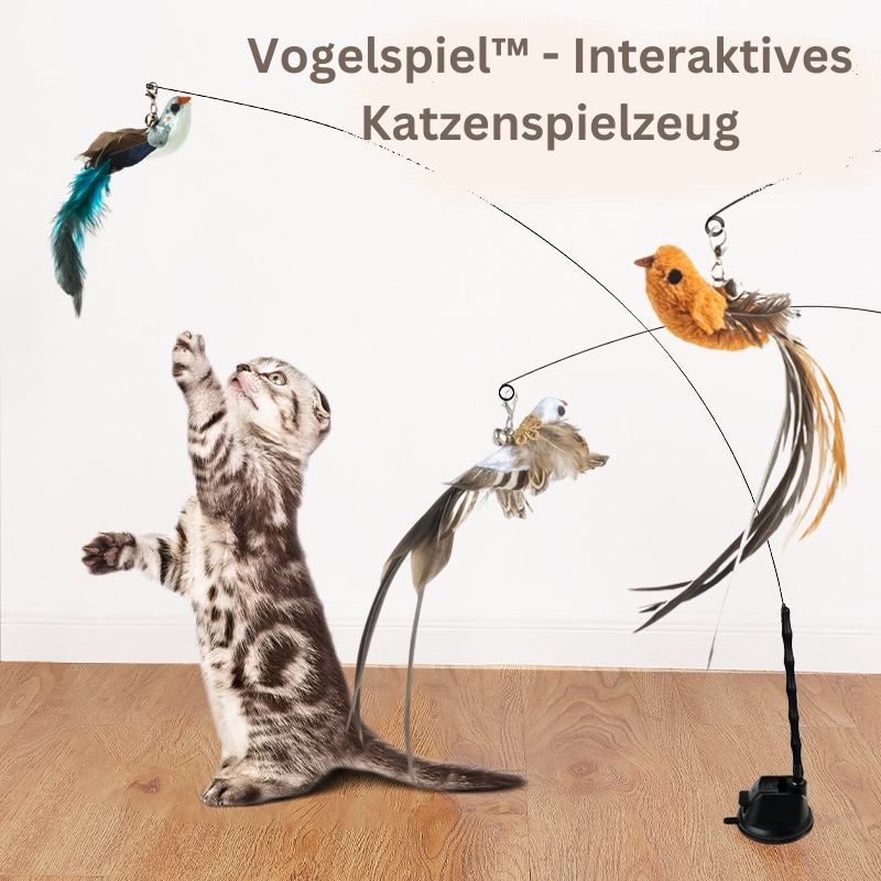 Vogelspiel™️ - Interaktives Katzenspielzeug