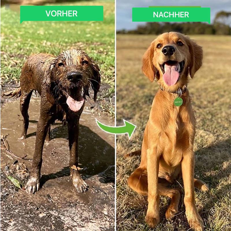 Doggy-Clean Pro7